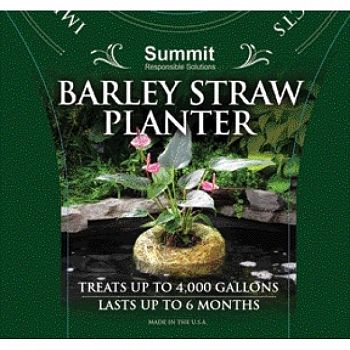 Barley Straw Planter