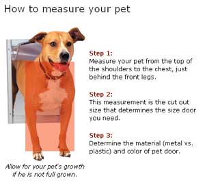 A quick guide on how to measure your pet for a new pet door.