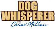 Dog Whisperer Dog Toys by Cesar Millan Other - GregRobert