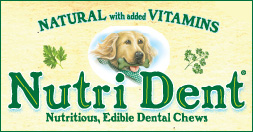 Small/12 ct. Nutri Dent Dog Chews by Nylabone - GregRobert