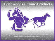 PENNWOODS EQUINE PRODUCTS Bio Generation Horse Supplement 25 lb