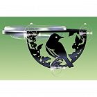 Window-Mount Songbird Feeder - 6 in.