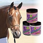 Face Glo is a show enhancing highlighter for the face, ears, muzzle and manes and tails too. Face Glo covers unsightly scars and blemishes. Aloe and Vitamin E are added to help condition the skin.