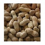 Rich in oils and fats that provide energy and is high in calories and protein that promotes growth and good health.    Alpine Ingredients