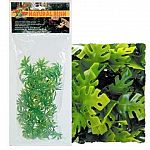 Terrarium plant. Natural Bush plants provide hiding and resting places for all types of reptiles and amphibians. Your reptile will never know the difference.
