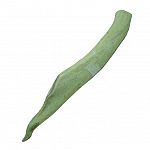 Deer antler dog chew treats. 9 to 11 inch jumbo.    Free roam, all-natural, pharmaceutical grade deer/elk antlers.