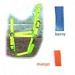 For ponies. This superb fitting halter is constructed from premium nylon. Fully adjustable allowing for a comfortable and proper fit. Made by Hamilton.