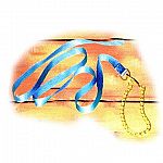 For use with goats, sheep, alpacas, llamas, horses or cattle. 7 ft long, 1 inch nylon with 24 inch chain & snap. S/t nylon lead w/chain & snap.