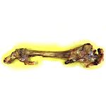 All natural smoked bone with no added chemicals. Better digested compared to some rawhide products that can disturb the sensitive digestive tract of some dogs.