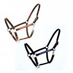 Leather equine halter with brass plated and solid brass hardware. Double ply leather and double stitch throughout. Comes in two colors and three sizes. Beiler high-end leather halter.
