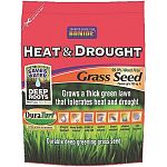 Special blend for heat and drought areas. Aggressive growth for fast repair and rejuvenation.
