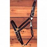 1 inch nylon draft horse halter with adjustable chin with strap at throat. Extra Large / Blue.