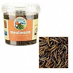 The Mealworm Tub by Gardman consists of freeze-dried mealworms, which contain a high level of protein essential for wild birds. Mealworms are easy to feed to birds, just place on a tray style feeder. Supplies wild birds with lots of energy.