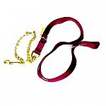 For use with goats, sheep, alpacas, llamas, horses or cattle. 7 ft long, 1 nylon with 24 chain & snap. S/t nylon lead w/chain & snap.