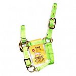 Foal halter. 3/4 inch nylon adjustable chin halter. Only the highest quality durable nylon webbing, thread and hardware is used to produce the hamilton product line. 1-2 3/4 nylon adj chin halter.