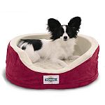 Low level therapeutic heat pet bed with an orthopedic foam core. The Wellness Sleeper produces a low level heat that will feel warm to your pet, but not hot. Use this heated pet bed indoors, only. 3 sizes.