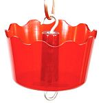 Noone likes those nasty ants invading your bird feeders - especially your bird visitors. This Ant guard for bird feeders will keep the pests away.