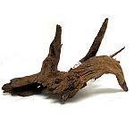Add realistic beauty to your aquarium or habitat. Each piece has a unique shape.
