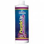 That beautiful coralline algae growth is only a bottle away! PurpleUp encourages the growth of desirable pink and purple coralline algae, yet will not cause nuisance algae growth! This unique product contains ionic calcium. 16 oz.