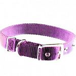 Hamilton's new Sherbet series collars. New lavendar color, same Hamilton quality. Deluxe buckle collar in multiple sizes and thicknesses. 12 inch is 3/8 inch thick, 14-18 inch collars are 5/8 inch thick and 20-26 inch dog collars are 1 inch thick.