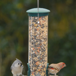 Heavy die-cast metal caps, ports, bases and clear uv stabilized polycarbonate tube. Seed deflector in tube allows birds to remove every last seed. Redesigned feed ports have raised ridge to divert rainwater. Perches are part of the seed port. Holds 3/4 qu