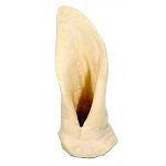 USA lamb ears for your dog. 6 inches / all natural