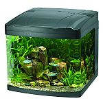 Four button control and separate power cords for daylight, actinic and led s Hinge top canopy design Quiet submersible pump with 30% better flow rate for improved circulation of water and better filter performance. Clear glass back for easy refugim set up