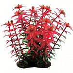 Realistic plant with natural colors and textures. Can be used individually or placed with others to create dense, aquatic jungle. Durable plastic foliage is easy to place and maintain. Heavy, dark, ceramic anchorbase keeps arrangement in place.