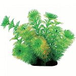 Realistic plant with natural colors and textures. Can be used individually or placed with others to create dense, aquatic jungle. Durable plastic foliage is easy to place and maintain. Heavy, dark, ceramic anchorbase keeps arrangement in place.