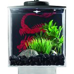 Easy set up 6 w x 7 h x 6 d acryclic cube. Built in ventilation and feeding holes. Stylish elevated base. Display anywhere. Battery powered led light. Customize your background. Add your own photo. For one betta. Decor, background, batteries and fish not