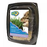 Growable, edible cat treat. Premium cat grass mixture kit. Grows quickly. Fiber rich dietary supplement.