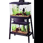 Fits 13 gallon widescreen aquarium on top shelf and up to 10 gallon aquarium on lower shelf Reversible wood panels: brown or black Front panel flips up for easy access to aquarium on lower shelf Easy 7-step setup Durable steel construction Rust-resistant