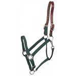 This nylon breakaway halter with leather crown is great for using as a turnout halter or when trailering. The leather crown will break, helping to prevent injury to your horse.