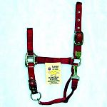 Nylon Adjustable Horse Halter with Chin Strap - 1 inch by Hamilton. Adjustable chin snap at throat. Only the highest quality durable nylon webbing, thread and hardware is used to produce the Hamilton product line. Available in a wide variety of colors.