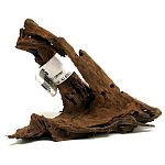 Add realistic beauty to your aquarium or habitat. Each piece has a unique shape.