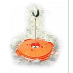 Oriole feeder from the Audubon line by Woodlink. A 12 - 16 ounce nectar feeder that is easy to fill and clean. An ant moat is built into the center to hold water and keep those pesky little sugar lovers from clogging up the works.