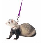 The #1 ferret harness & lead combo available to ferret owners anywhere. Unlike many other harness & lead sets, the Marshall set is designed specifically for the anatomy of the ferret. It is literally escape-proof, when adjusted properly.