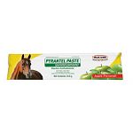 Durvet Pyrantel Paster Horse Dewormer comes in an apple flavor and it for the removal and control of mature infections of large strongyles, small strongyles, pinworms, and large roundworms in horses and ponies. Size: 3.60 grams