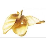 Big 100 count box of 100% digestible cow ears are a lower fat alternative to pig ears. And, dogs can't get enough of them! They do not smell or get on your carpet or furniture.