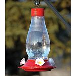 Classic, durable hummingbird feeder - Xlarge at 24 oz. capacity. 3 ports.