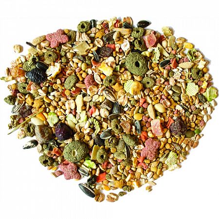 Sunsations Cockatiel Food and Treat