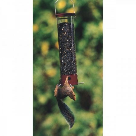 Yankee Dipper Squirrel Proof Bird Feeder