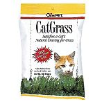 Grow the grass your cat craves right in the bag. Seeds and growing medium are pre-mixed in the package. All you do is add water! 5.25 o.