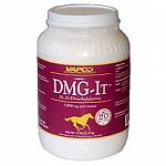 In order to increase your horse's metabolism, use DMG-It supplement by Vapco. Helps to regulate the glucose level in your horse's blood to increase the level of energy with the ingredient DMG. Great for performance horses!