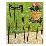 Cobraco plant stands will stand the test of time whether they are displaying your potted plants outdoors or indoors. This Canterbury plant stand is made from powder coated steel wire. The 21 inch plant stand has a twisted square wire basket that works.