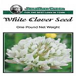 White clover is a shallow rooted, perennial legume known for its nitrogen fixing ability. Produces small white to pinkish-white flowers. A leafy clover used for soil improvement, erosion control, and anywhere clover is desired.
