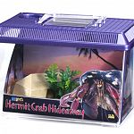 The Hermit Crab Hideaway Kit is the ideal environment for hermit crabs and makes a great starter kit. This kit contains: Medium Kritter Keeper, Natural Sea Sponge, Plastic Plant, Natural Gravel, Hermit Hut, Detachable Night Sky Scene and a Food Sample.