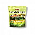 Grows well in dense shade. Ideal for seeding under trees. Spreads quickly and grows thick.