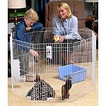Our Small Animal Play Pen is made for ferrets, rabbits and most small animals. This indoor/outdoor expandable play pen provides a safe, contained area for your pet to play and exercise. Easy assembly.