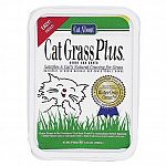 Bring the great outdoors inside for cats! CatGrass Plus satisfies a cat's urge to eat fresh vegetation and preserves precious houseplants. The unique formula requires watering only once, and grows straight from the container.